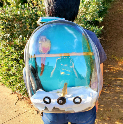 Outdoor Cat Carrier - Breathable Backpack photo review