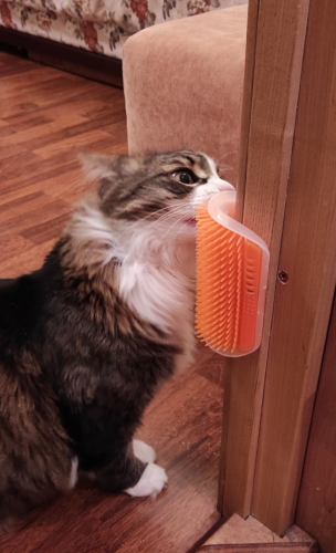 Corner Cat Brush - Self Massage photo review