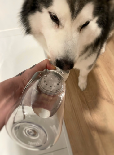 Portable Pet Water Bottle photo review