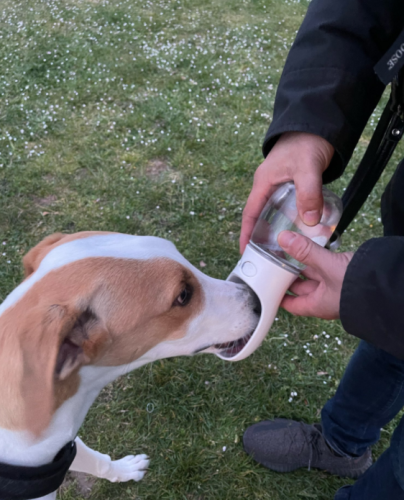 Portable Pet Water Bottle photo review